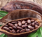 В России временно обнулят ввозную пошлину на какао-продукты